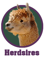 home_link_herdsires